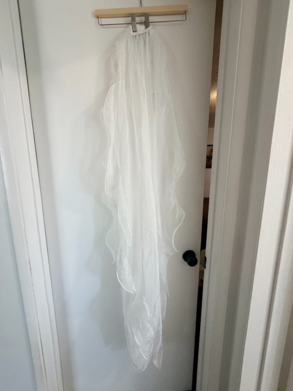Meshki Asteria Veil